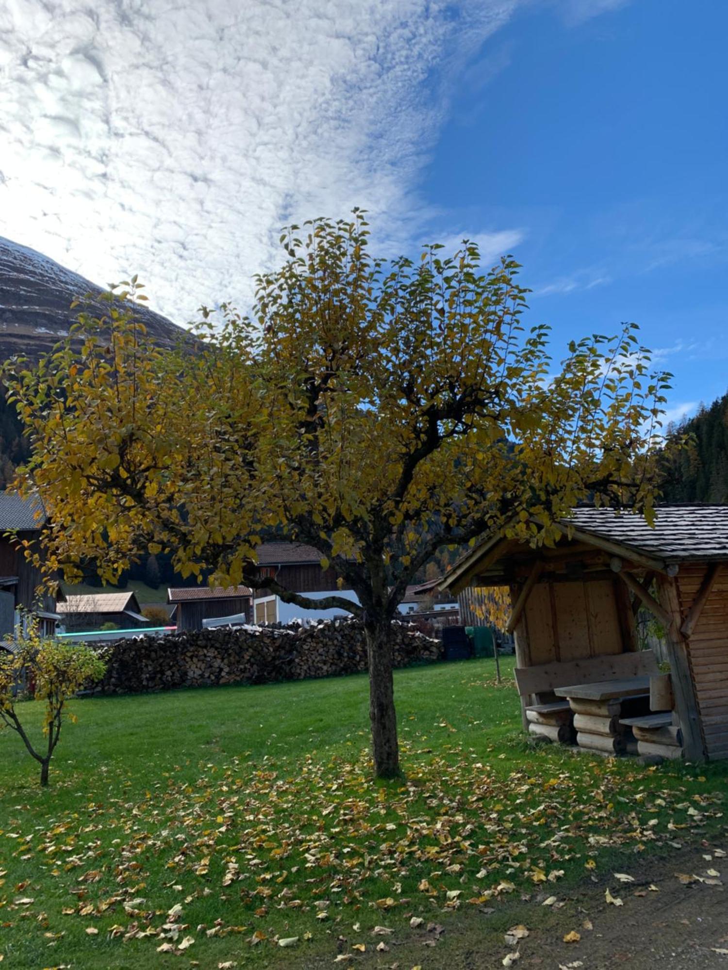Haus Lechblick Homestay *